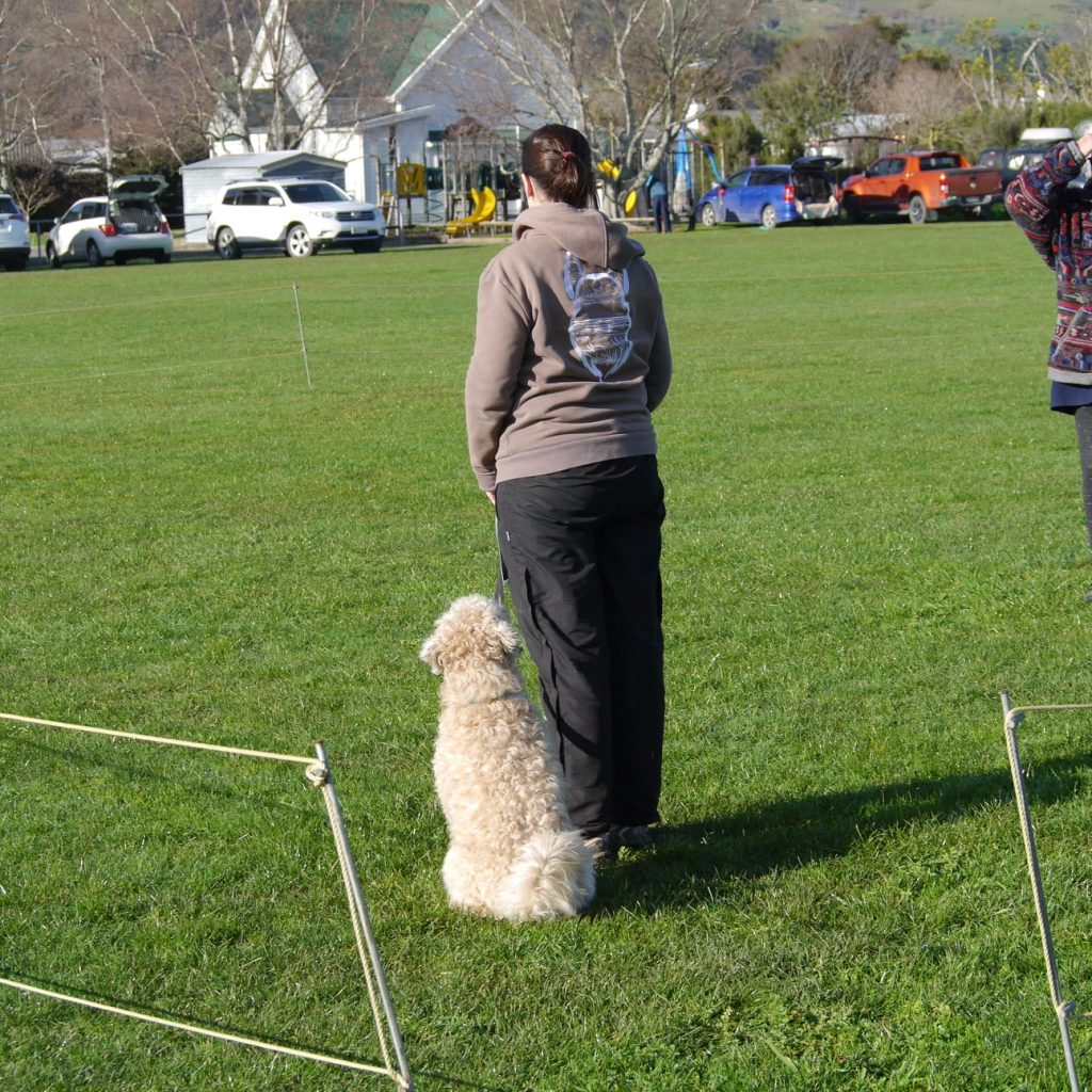 469909759_9226431447413069_8320748603987387070_n