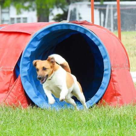 473304028_3698070030491671_6610254402388396106_n