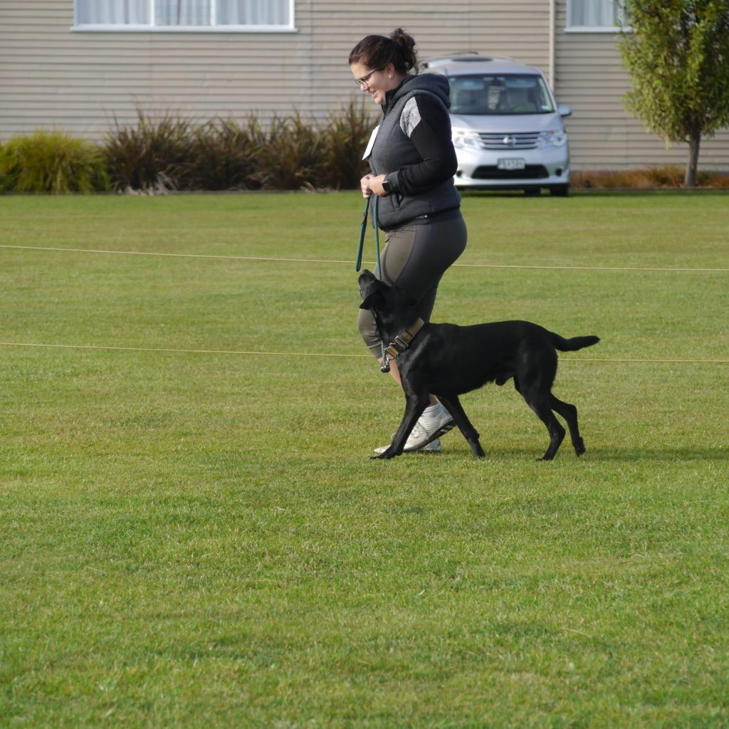 485679765_9792724330783775_6201709051079335439_n