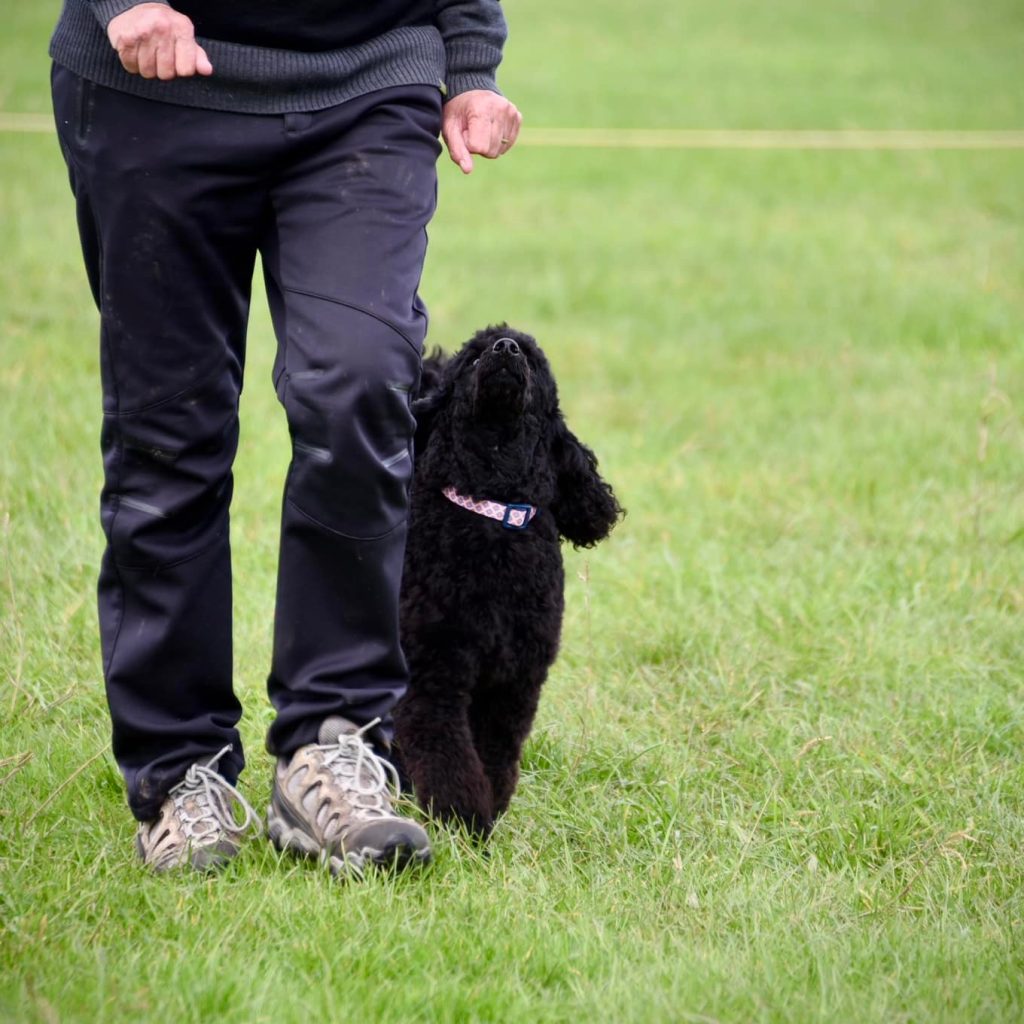 486164120_4065711296975574_6733212937690962203_n