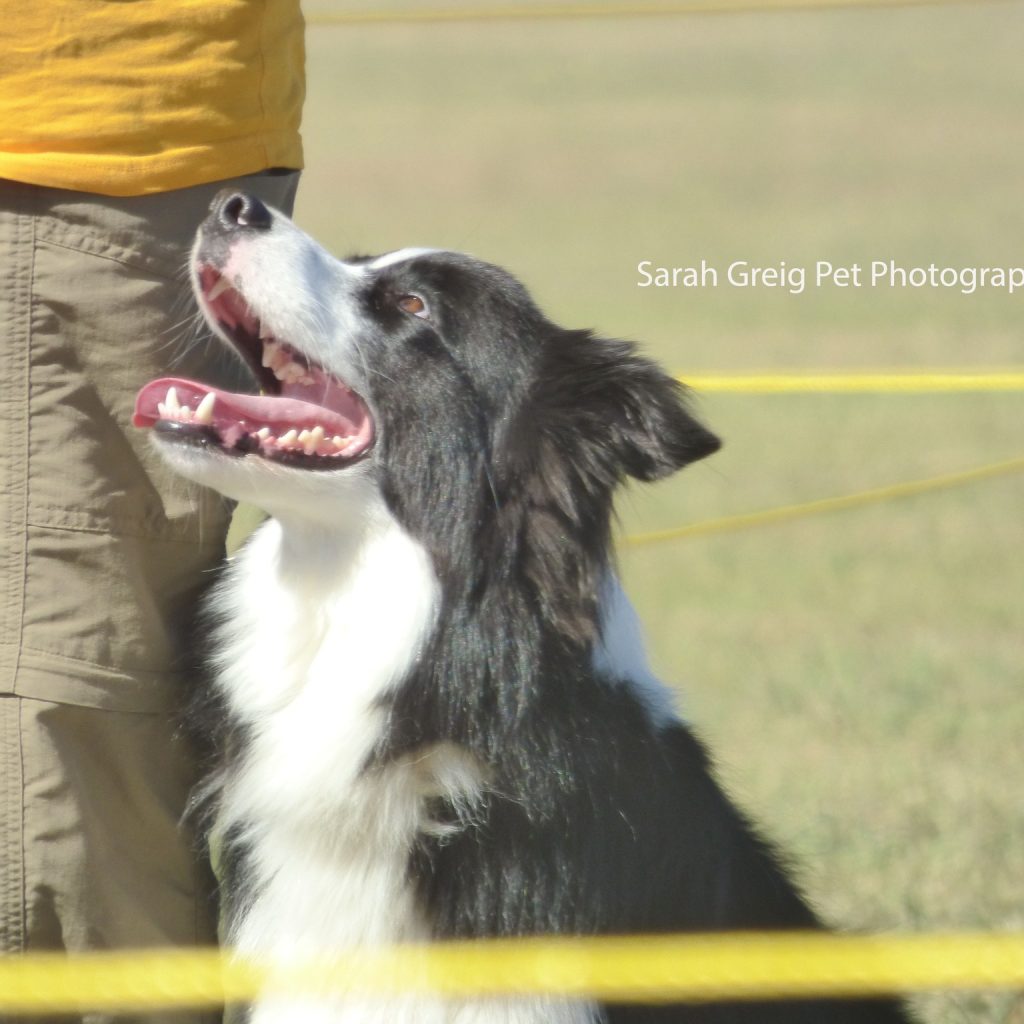 486281967_122243511896199882_2958642035178772832_n