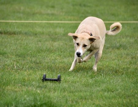 486560781_4065711043642266_8369514219687755977_n