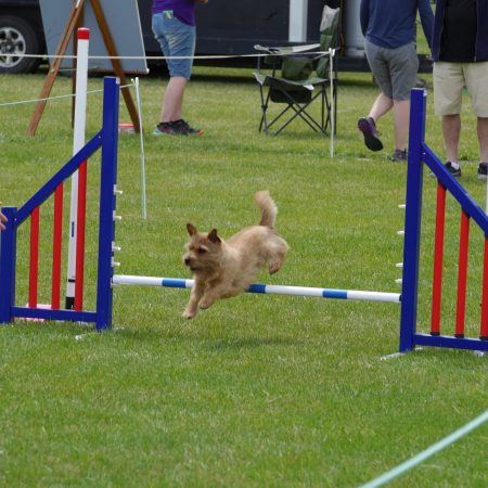 488858731_9892661640790043_992203642157740887_n