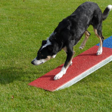 490642111_9958787230844150_7278233652302616561_n